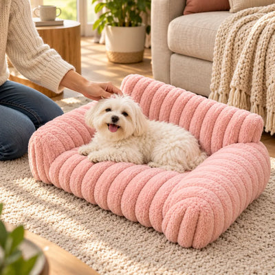 A small fluffy white dog lies smiling in a pink plush sofa-style pet bed on a cream knit rug, while a person in a chunky sweater and jeans kneels beside it and reaches out to pet its head in a sunlit living room with a beige couch and potted plants.